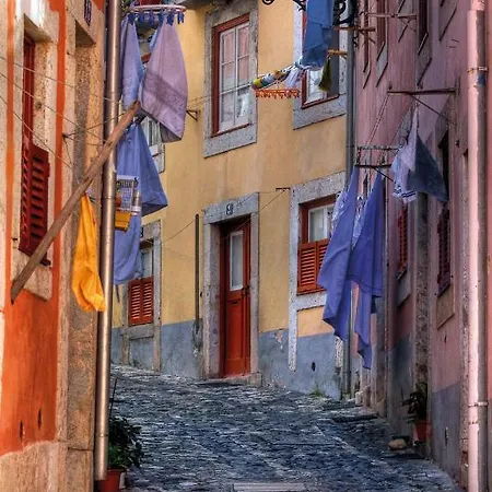 Apartment Charming Ii Historical Center *